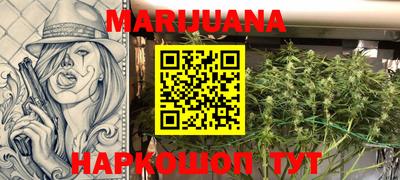 крисы Малгобек