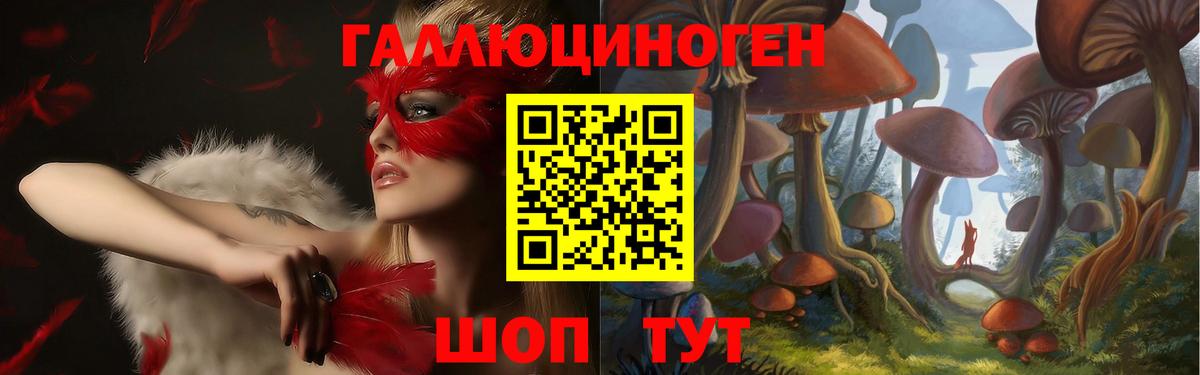 Гулькевичи  Галлюциногенные грибы Cubensis  Вход с VPN 